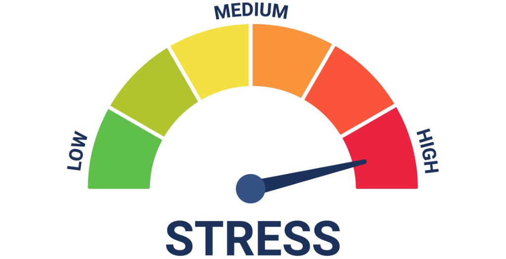 My Stress Quiz